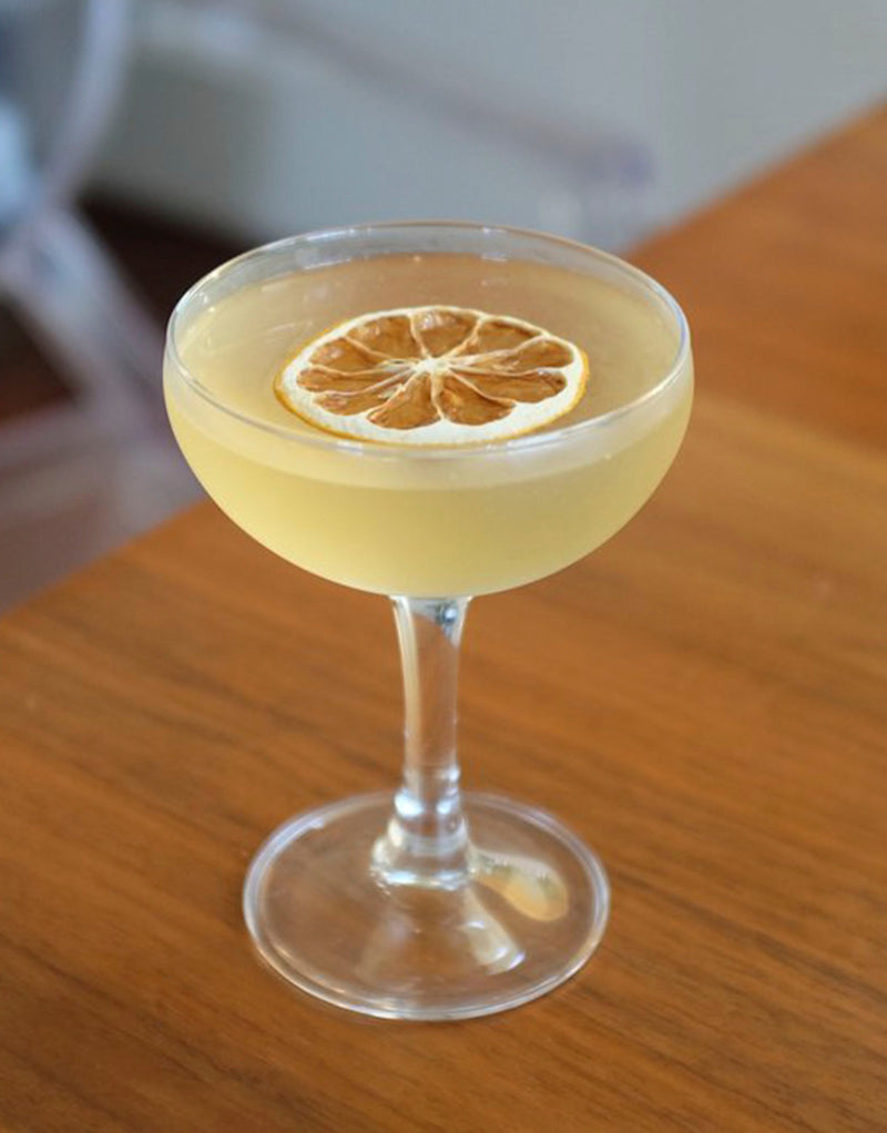 Image of cocktail garnished with dehydrated lemon wheel