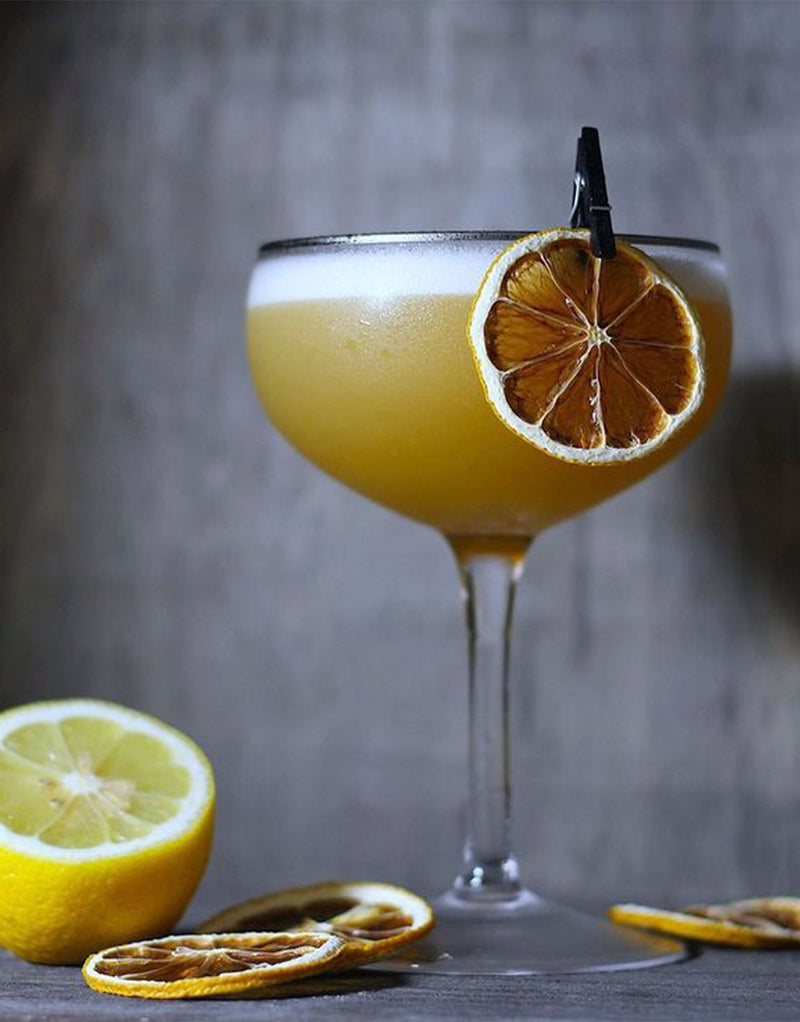 Image of cocktail garnished with dehydrated lemon wheel
