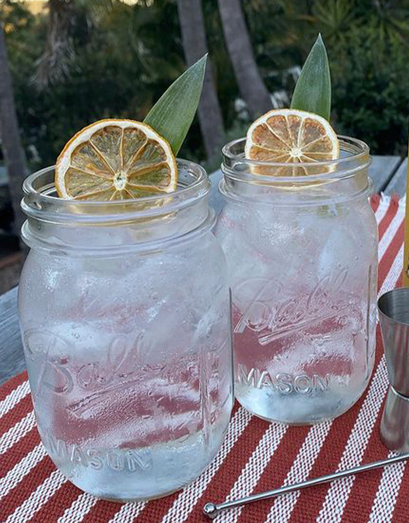 Refreshing summer-flavored water with dehydrated lime wheels