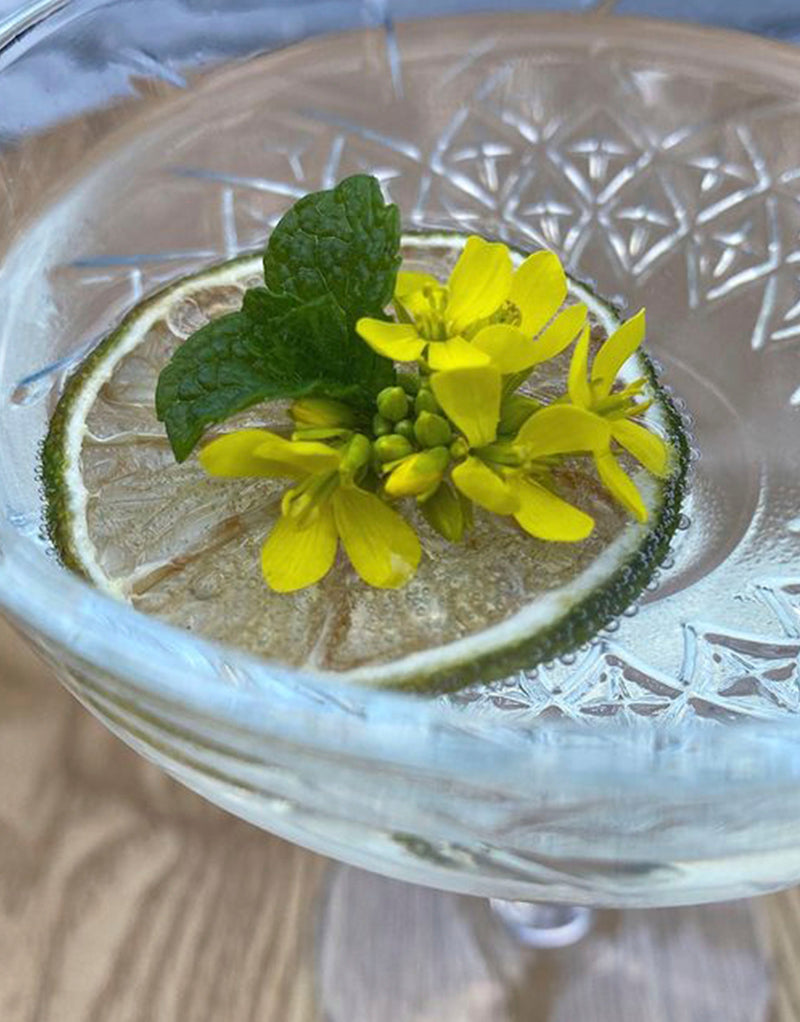 Image of cocktail garnished with dehydrated lime wheel